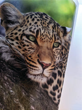 Load image into Gallery viewer, SHIRO ECHO - 100% recycled and carbon neutral paper